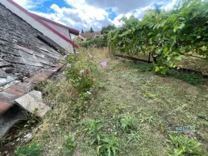Prodej vinného sklepa, Zaječí, Hlavní, 95 m2