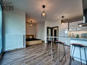 Pronájem bytu 1+kk, Praha - Karlín, U Mlýnského kanálu, 37 m2