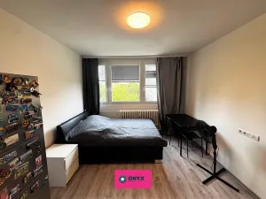 Prodej bytu 1+kk, Brno, Halasovo náměstí, 24 m2