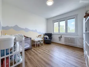 Prodej bytu 3+1, Hodonín, Družstevní čtvrť, 73 m2
