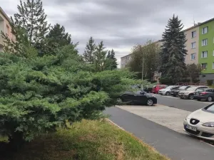 Prodej bytu 1+1, Jirkov, Hornická, 36 m2