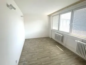 Pronájem bytu 4+kk, Praha - Žižkov, Sabinova, 120 m2