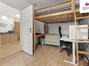 Prodej bytu 1+1, Praha - Břevnov, 8. listopadu, 25 m2