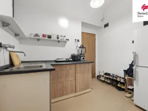 Prodej bytu 1+1, Praha - Břevnov, 8. listopadu, 25 m2