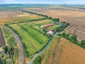Prodej komerční nemovitosti, Pečky, 345 m2