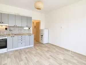 Pronájem bytu 1+kk, Písek - Budějovické Předměstí, 17. listopadu, 19 m2