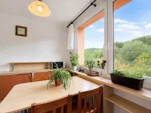 Prodej bytu 3+1, Jirkov, Pionýrů, 78 m2