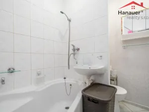 Prodej bytu 1+1, Ústí nad Labem - Mojžíř, Peškova, 37 m2