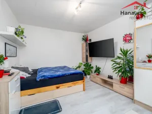 Prodej bytu 1+1, Ústí nad Labem - Mojžíř, Peškova, 37 m2