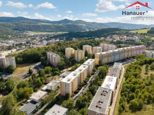 Prodej bytu 1+1, Ústí nad Labem - Mojžíř, Peškova, 37 m2