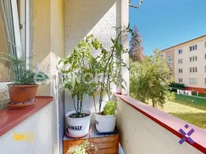 Prodej bytu 3+1, Zlín, Dukelská, 72 m2