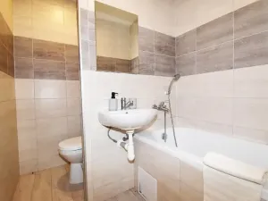 Pronájem bytu 2+kk, Most, Františka Malíka, 39 m2