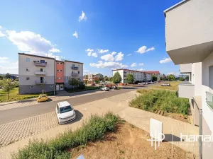 Pronájem bytu 2+kk, Mohelnice, Za Penzionem, 43 m2