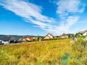 Prodej pozemku pro bydlení, Frymburk, 1045 m2