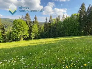 Prodej pozemku pro bydlení, Železná Ruda, 3475 m2