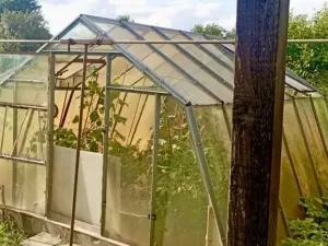 Prodej chaty, Uničov, Sad míru, 6 m2