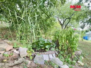 Prodej zahrady, Letohrad, 535 m2