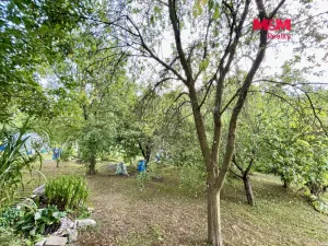 Prodej zahrady, Letohrad, 535 m2