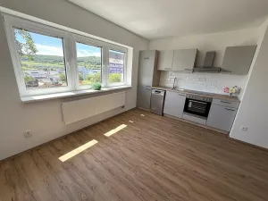 Pronájem bytu 2+kk, Brno - Ivanovice, Hřebíčková, 48 m2