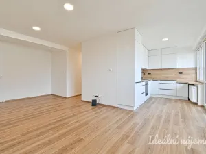 Pronájem bytu 3+kk, Ostrava - Moravská Ostrava, Vítězná, 73 m2