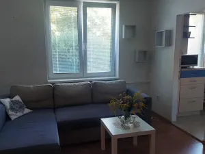 Pronájem bytu 2+kk, Brno, Tišnovská, 45 m2