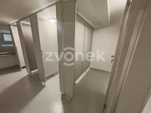 Pronájem bytu 1+kk, Otrokovice, Moravní, 26 m2