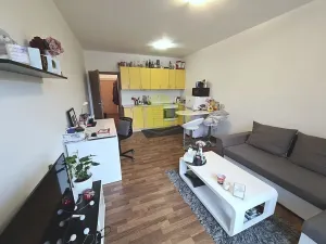 Pronájem bytu 1+kk, Olomouc, Jeremiášova, 32 m2