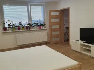 Pronájem bytu 1+1, Liberec, Borový vrch, 39 m2