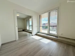Pronájem bytu 2+kk, Brno, U Červeného mlýna, 53 m2
