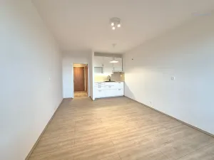 Pronájem bytu 1+kk, Ostrava, Čujkovova, 28 m2