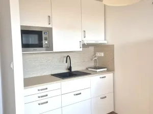 Pronájem bytu 1+kk, Ostrava, Čujkovova, 28 m2