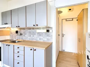 Pronájem bytu 1+kk, Písek, 17. listopadu, 19 m2