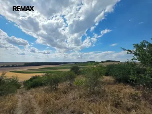Pronájem rodinného domu, Drnholec, Lidická, 94 m2