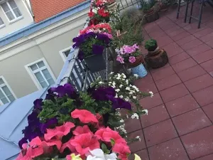 Prodej atypického bytu, Mikulov, Komenského, 164 m2