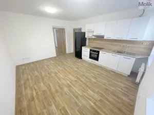 Pronájem bytu 2+kk, Most, Hollarova, 45 m2