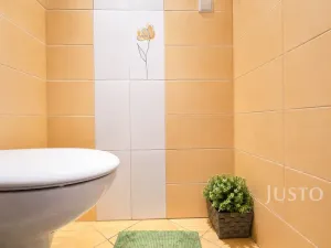 Prodej bytu 3+1, Písek - Budějovické Předměstí, třída Přátelství, 61 m2