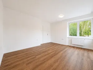 Pronájem bytu 1+1, Prostějov, Riegrova, 43 m2