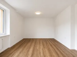 Pronájem bytu 1+1, Prostějov, Riegrova, 43 m2