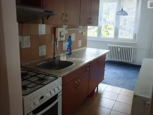 Prodej bytu 3+1, Spálené Poříčí, Lipnická, 64 m2