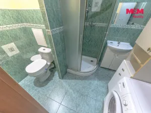 Prodej bytu 3+1, Roudnice nad Labem, Alej 17. listopadu, 61 m2