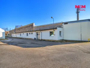 Prodej výrobních prostor, Miletín, Lhotova, 22000 m2