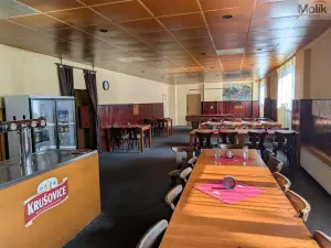 Prodej komerční nemovitosti, Litvínov - Horní Litvínov, Alešova, 506 m2