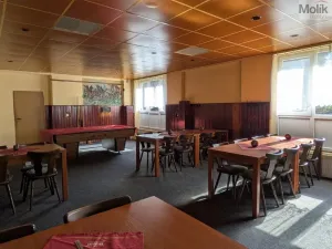 Prodej komerční nemovitosti, Litvínov - Horní Litvínov, Alešova, 506 m2
