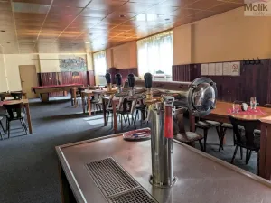 Prodej komerční nemovitosti, Litvínov - Horní Litvínov, Alešova, 506 m2