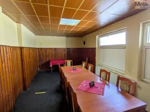 Prodej komerční nemovitosti, Litvínov - Horní Litvínov, Alešova, 506 m2