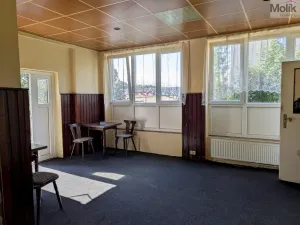 Prodej komerční nemovitosti, Litvínov - Horní Litvínov, Alešova, 506 m2