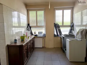 Prodej komerční nemovitosti, Litvínov - Horní Litvínov, Alešova, 506 m2