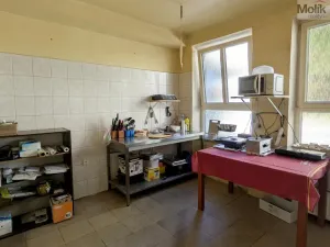 Prodej komerční nemovitosti, Litvínov - Horní Litvínov, Alešova, 506 m2
