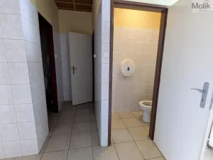 Prodej komerční nemovitosti, Litvínov - Horní Litvínov, Alešova, 506 m2