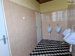 Prodej komerční nemovitosti, Litvínov - Horní Litvínov, Alešova, 506 m2